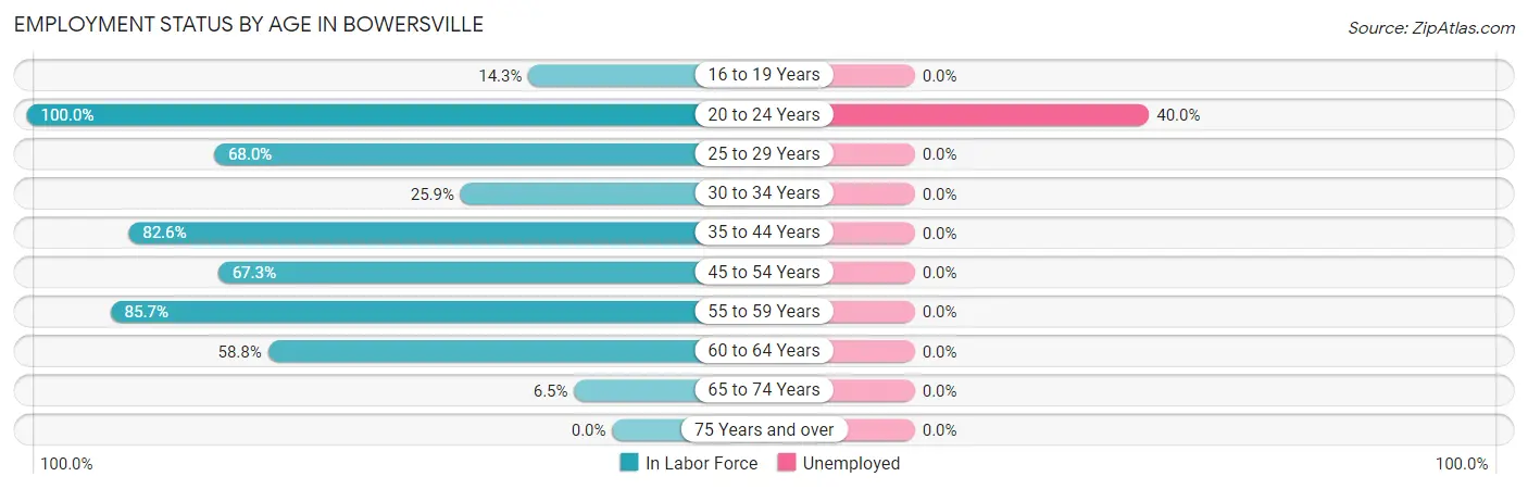 Employment Status by Age in Bowersville