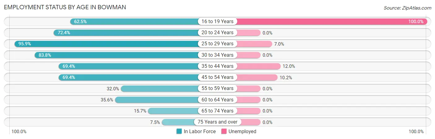 Employment Status by Age in Bowman