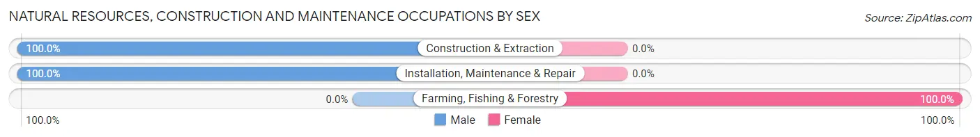 Natural Resources, Construction and Maintenance Occupations by Sex in Bowman
