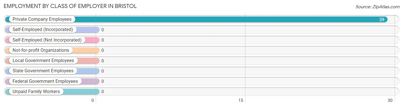 Employment by Class of Employer in Bristol