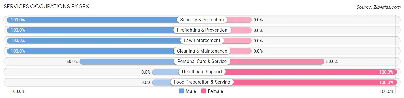 Services Occupations by Sex in Brooks