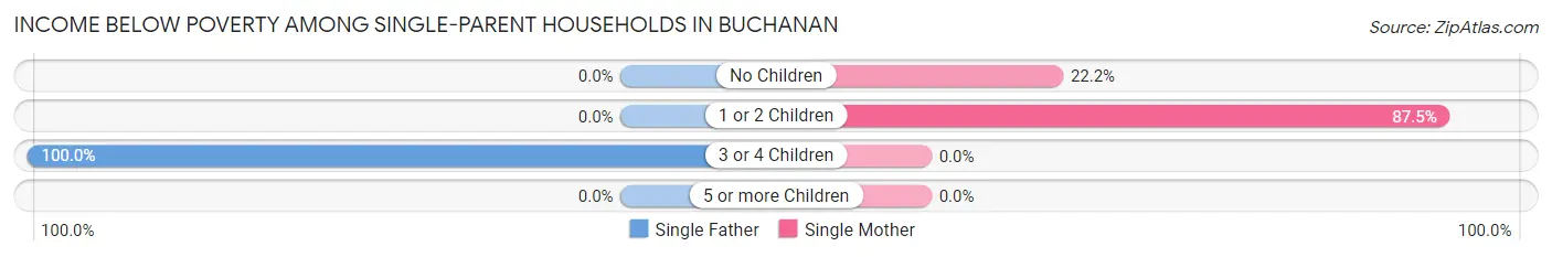 Income Below Poverty Among Single-Parent Households in Buchanan
