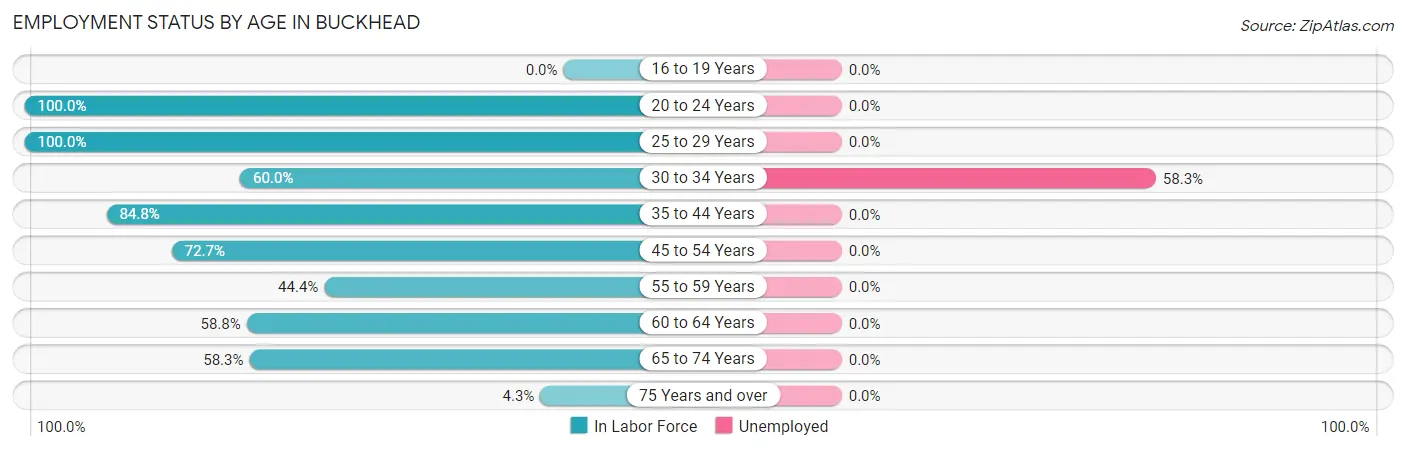 Employment Status by Age in Buckhead