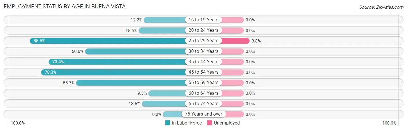 Employment Status by Age in Buena Vista