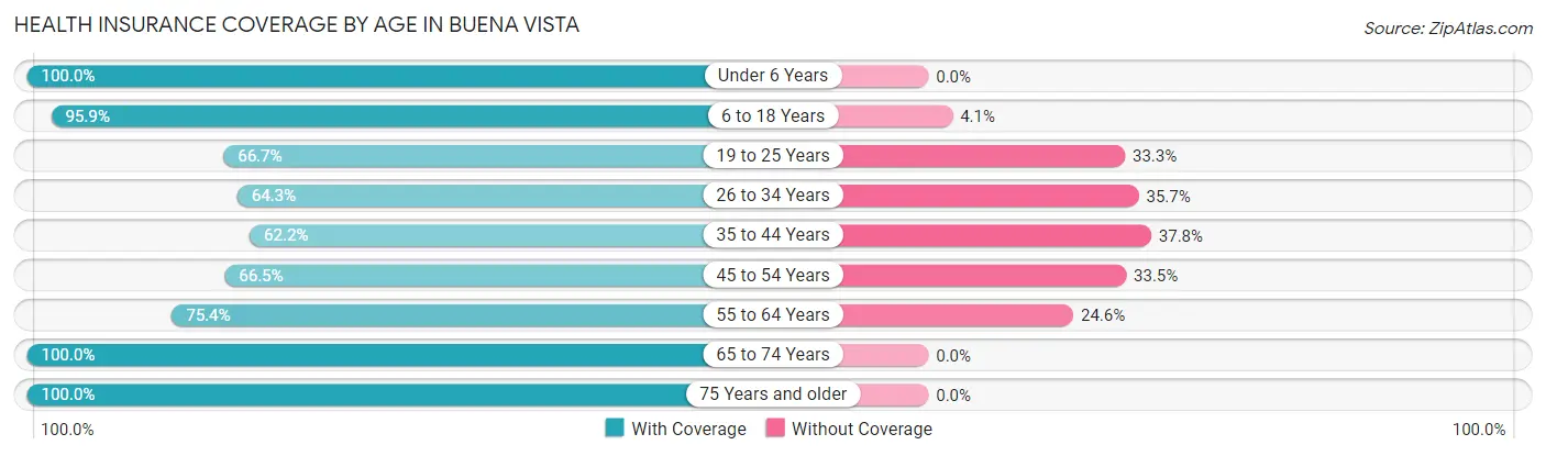 Health Insurance Coverage by Age in Buena Vista