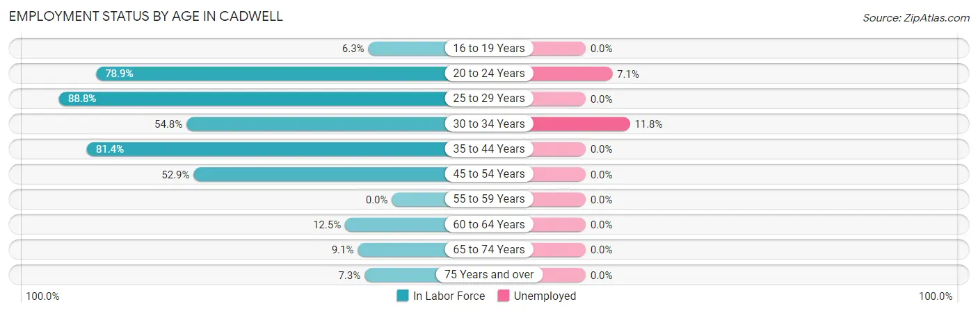 Employment Status by Age in Cadwell