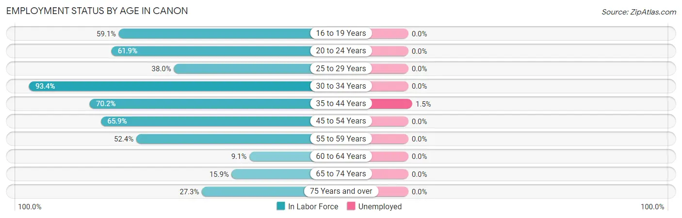 Employment Status by Age in Canon