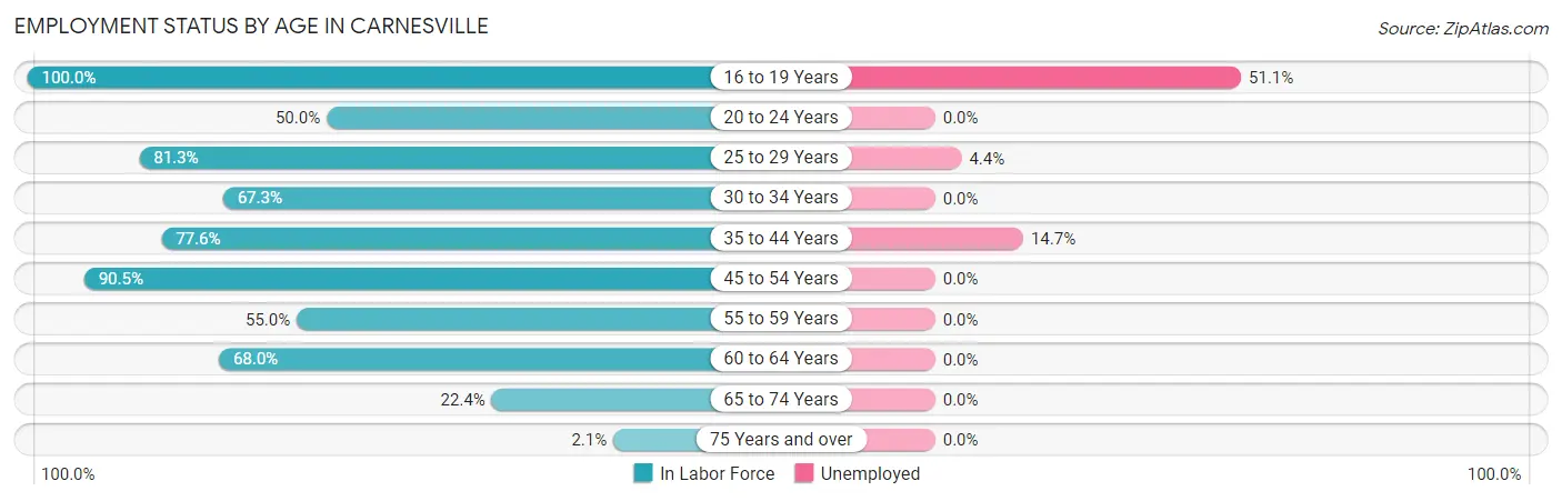 Employment Status by Age in Carnesville