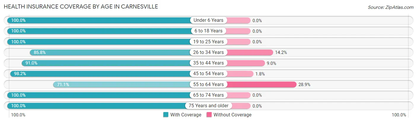 Health Insurance Coverage by Age in Carnesville