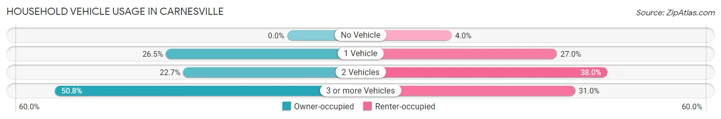Household Vehicle Usage in Carnesville