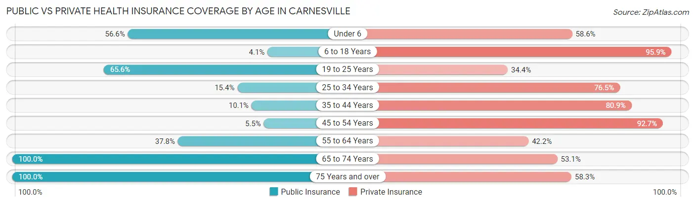 Public vs Private Health Insurance Coverage by Age in Carnesville