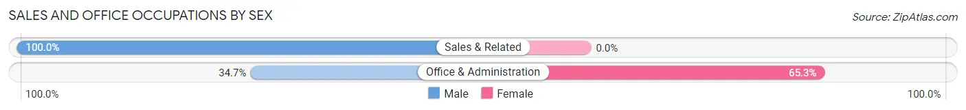 Sales and Office Occupations by Sex in Carnesville