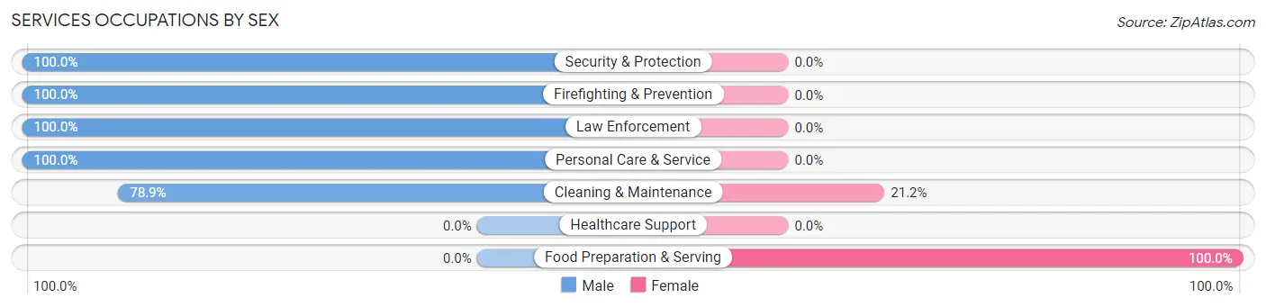 Services Occupations by Sex in Carnesville
