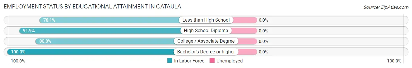 Employment Status by Educational Attainment in Cataula