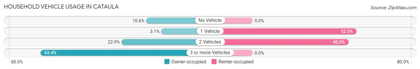 Household Vehicle Usage in Cataula
