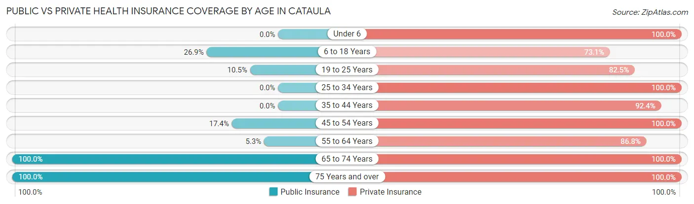 Public vs Private Health Insurance Coverage by Age in Cataula