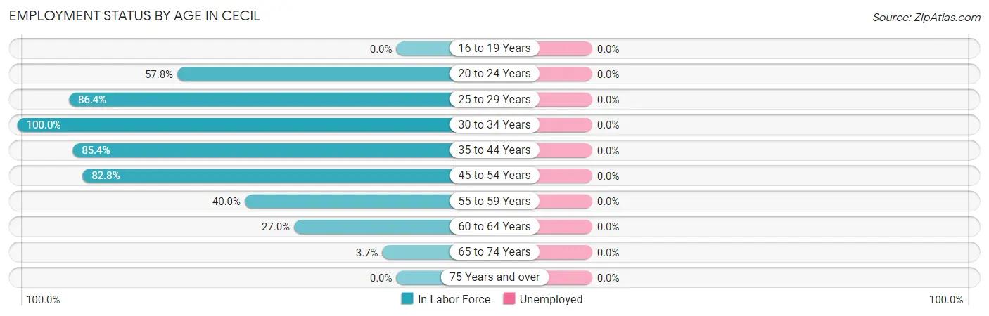Employment Status by Age in Cecil