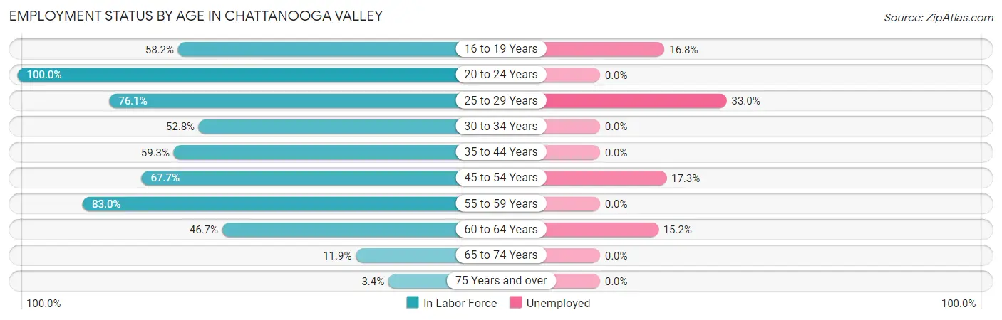 Employment Status by Age in Chattanooga Valley
