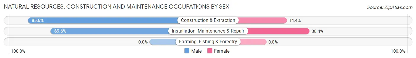 Natural Resources, Construction and Maintenance Occupations by Sex in Chattanooga Valley