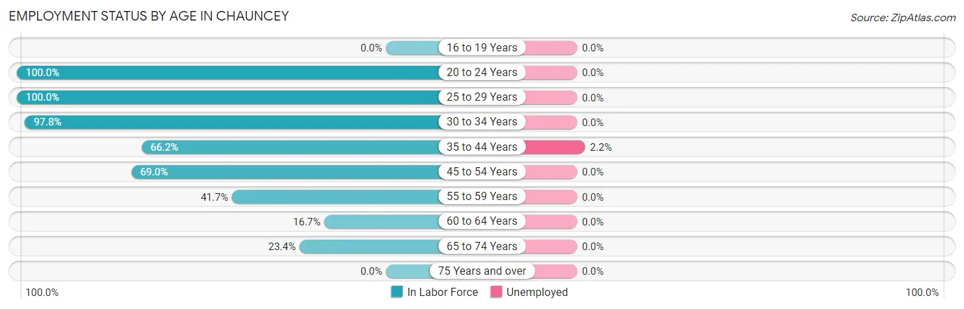 Employment Status by Age in Chauncey