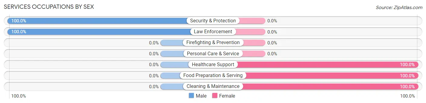 Services Occupations by Sex in Chauncey