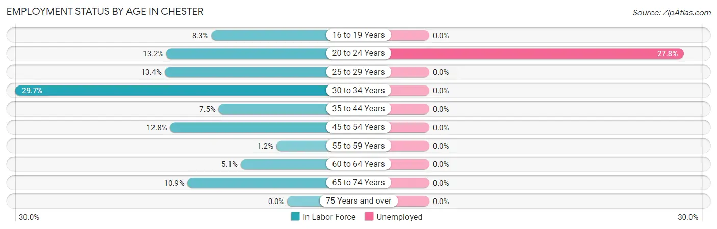 Employment Status by Age in Chester