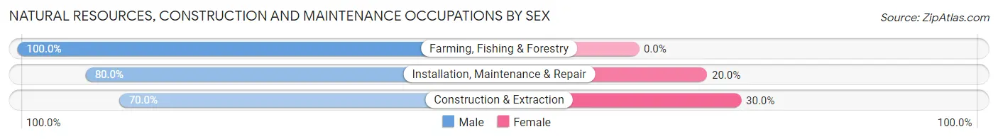 Natural Resources, Construction and Maintenance Occupations by Sex in Chester
