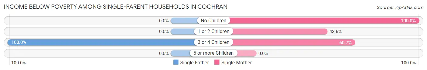 Income Below Poverty Among Single-Parent Households in Cochran