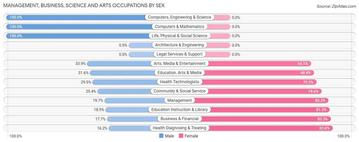 Management, Business, Science and Arts Occupations by Sex in Commerce