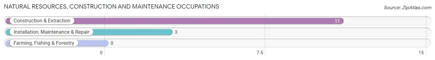 Natural Resources, Construction and Maintenance Occupations in Concord