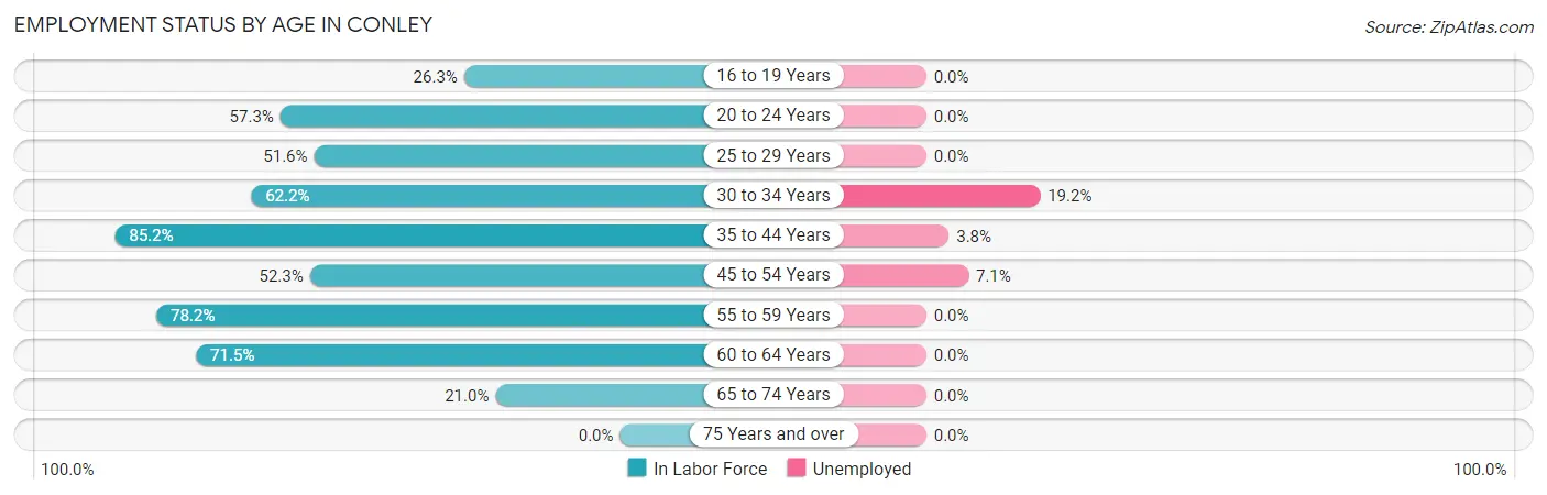 Employment Status by Age in Conley