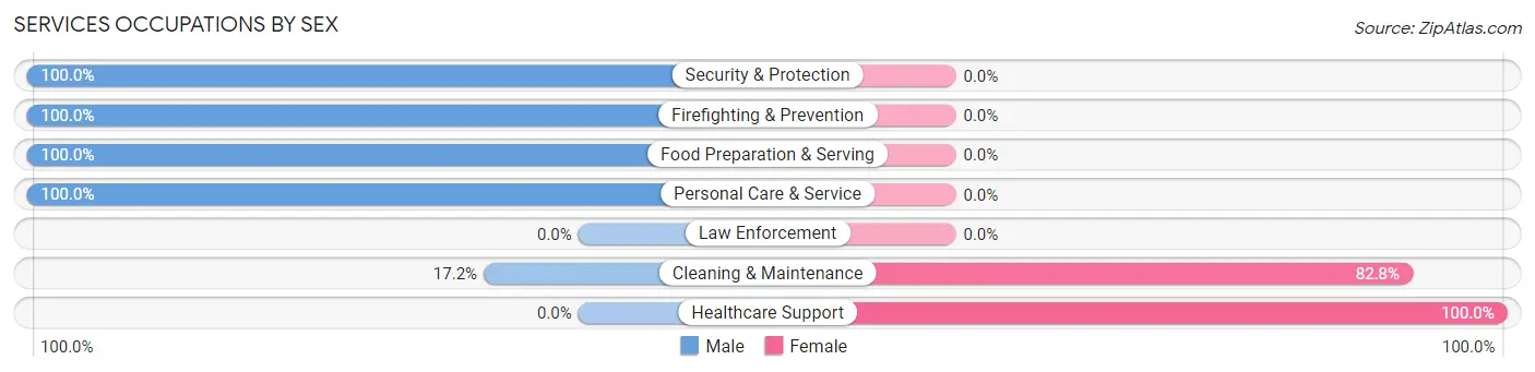 Services Occupations by Sex in Conley