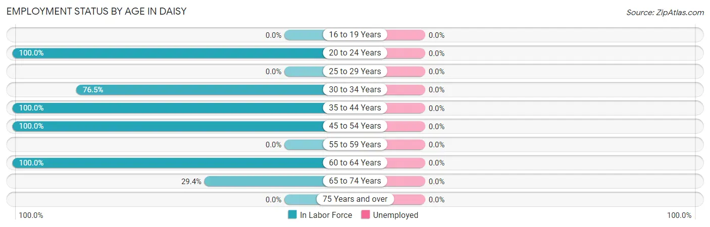 Employment Status by Age in Daisy