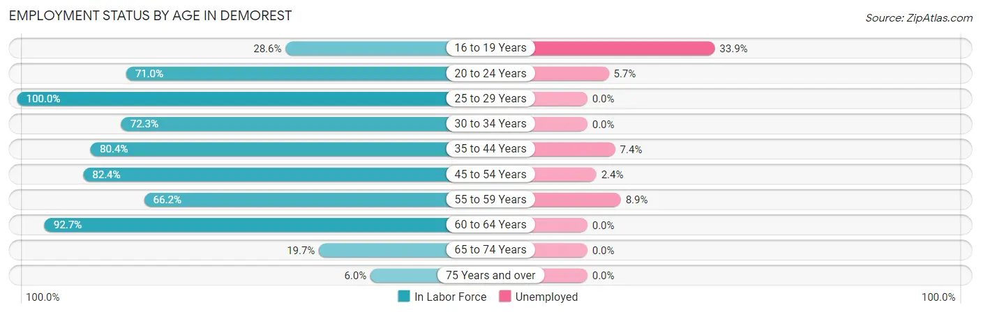 Employment Status by Age in Demorest