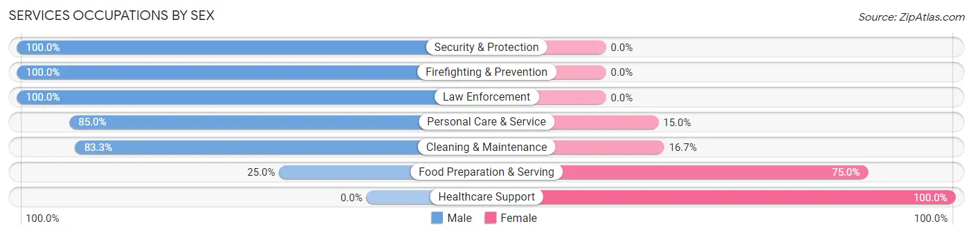 Services Occupations by Sex in Demorest
