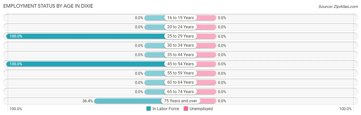 Employment Status by Age in Dixie