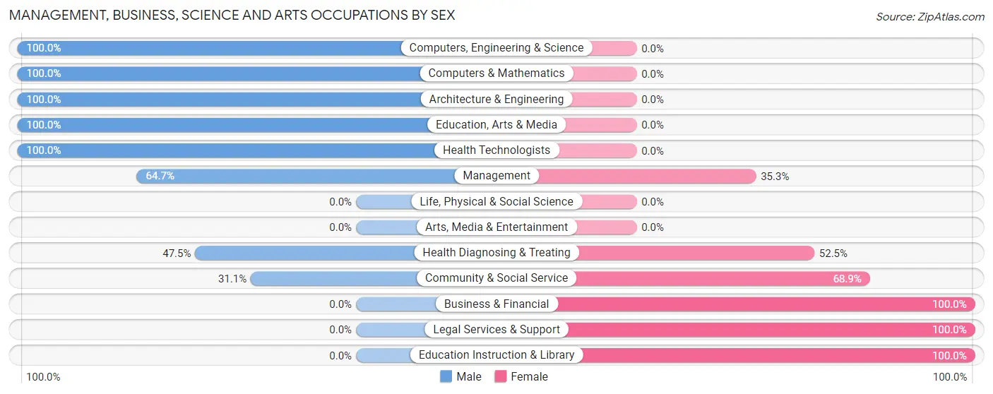 Management, Business, Science and Arts Occupations by Sex in Elberton
