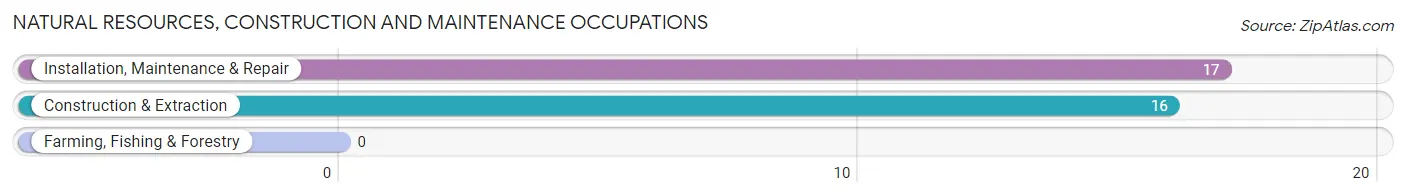 Natural Resources, Construction and Maintenance Occupations in Ellerslie