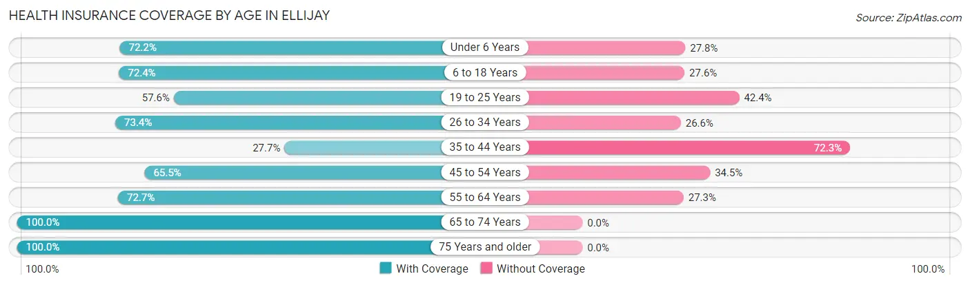 Health Insurance Coverage by Age in Ellijay
