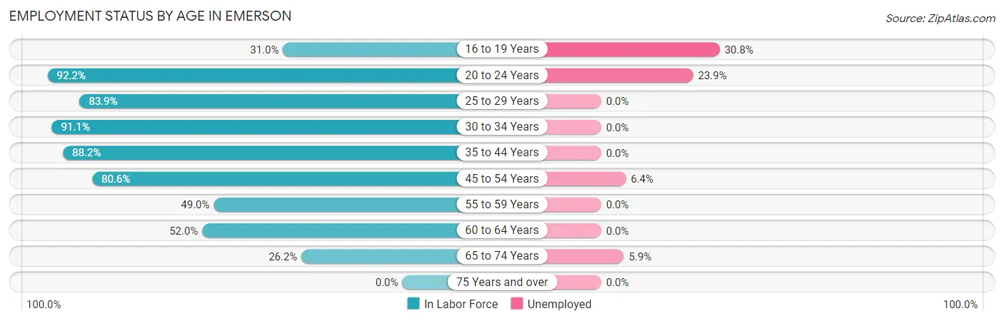 Employment Status by Age in Emerson