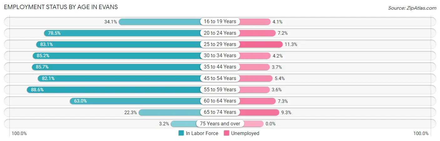 Employment Status by Age in Evans