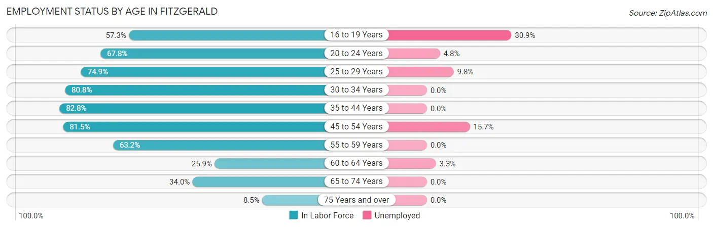 Employment Status by Age in Fitzgerald