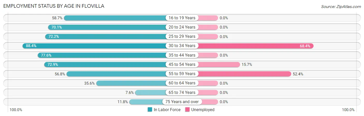 Employment Status by Age in Flovilla