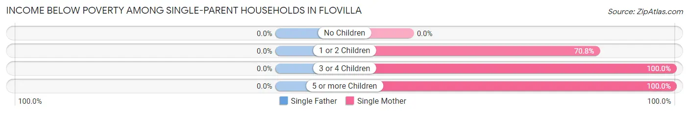 Income Below Poverty Among Single-Parent Households in Flovilla