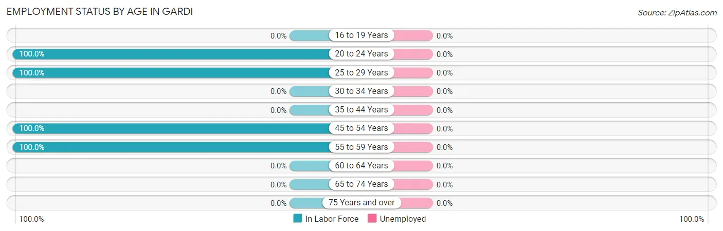 Employment Status by Age in Gardi