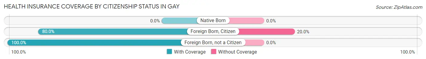 Health Insurance Coverage by Citizenship Status in Gay