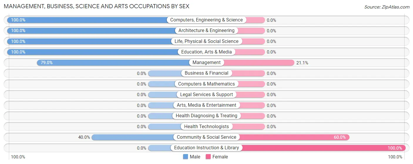 Management, Business, Science and Arts Occupations by Sex in Gay