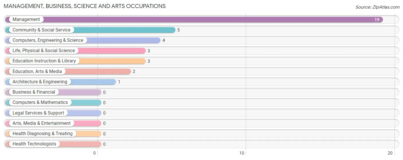 Management, Business, Science and Arts Occupations in Gay