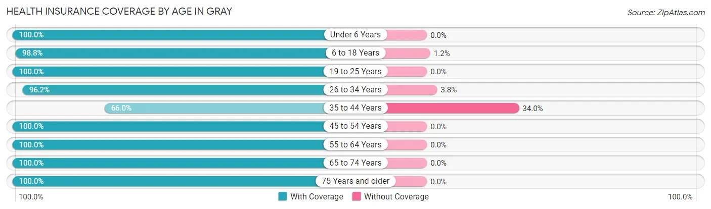 Health Insurance Coverage by Age in Gray