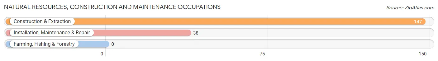 Natural Resources, Construction and Maintenance Occupations in Greensboro